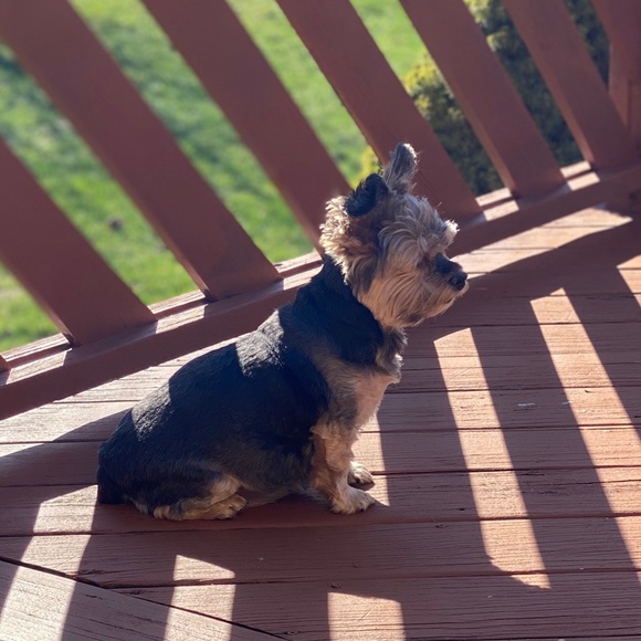 Meet your Posher, Aileen - Picture 1 of 1